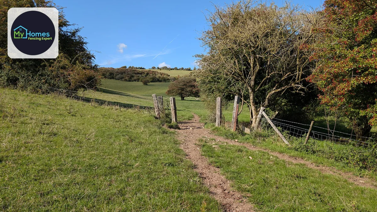 Best Fence for Coastal Auckland: Materials Guide