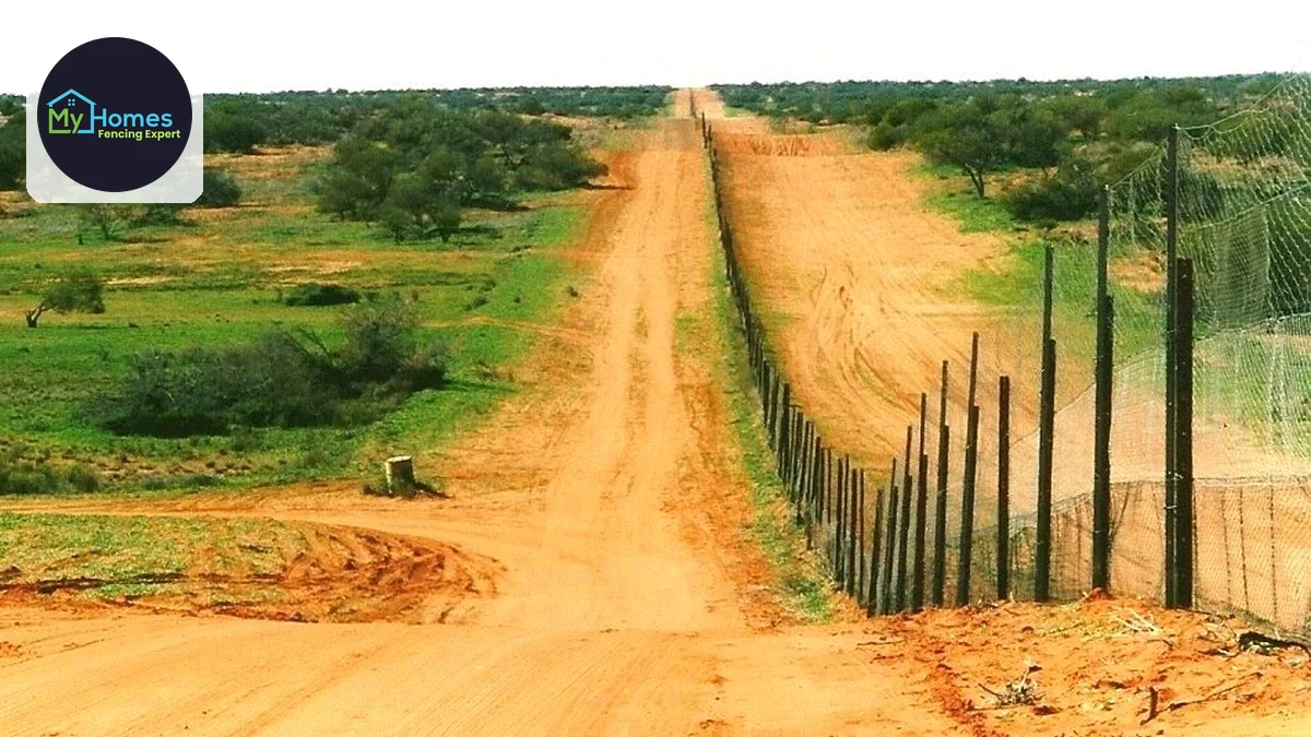 How to Choose a Fence Material: 10 Questions to Ask — fencing project photo