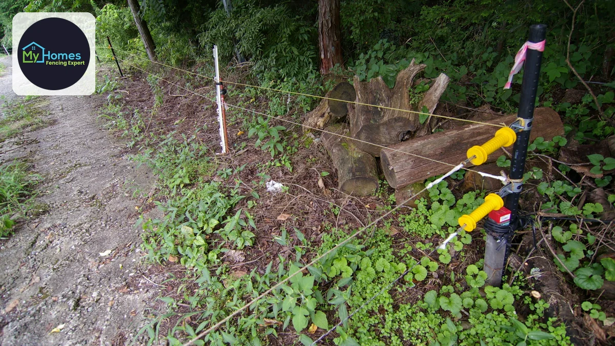 Fence Cost per Metre in Auckland: How Quotes Are Built — fencing project photo