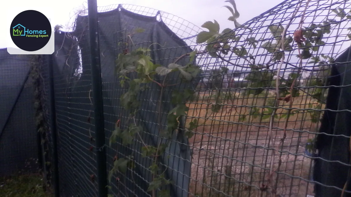 How to Prevent Fence Post Rot in Auckland