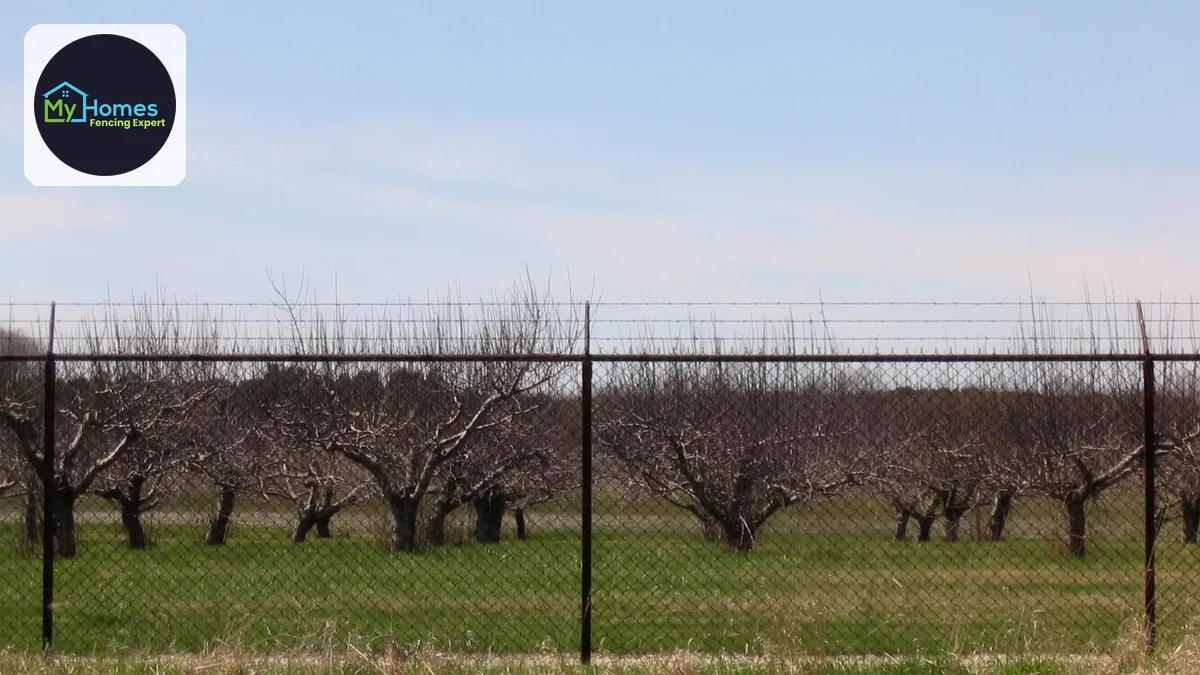 Common Fencing Myths Debunked — fencing project photo