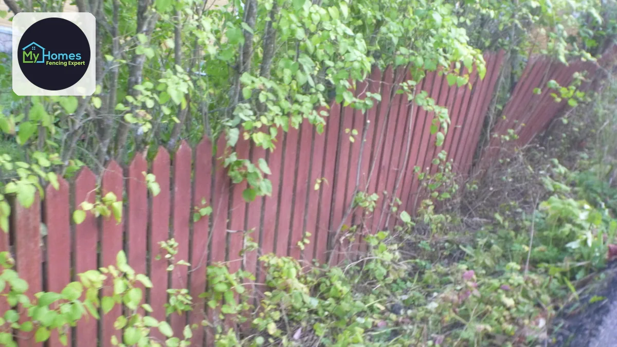 Treated Timber Grades for Fencing: H3.2 vs H4 — fencing project photo