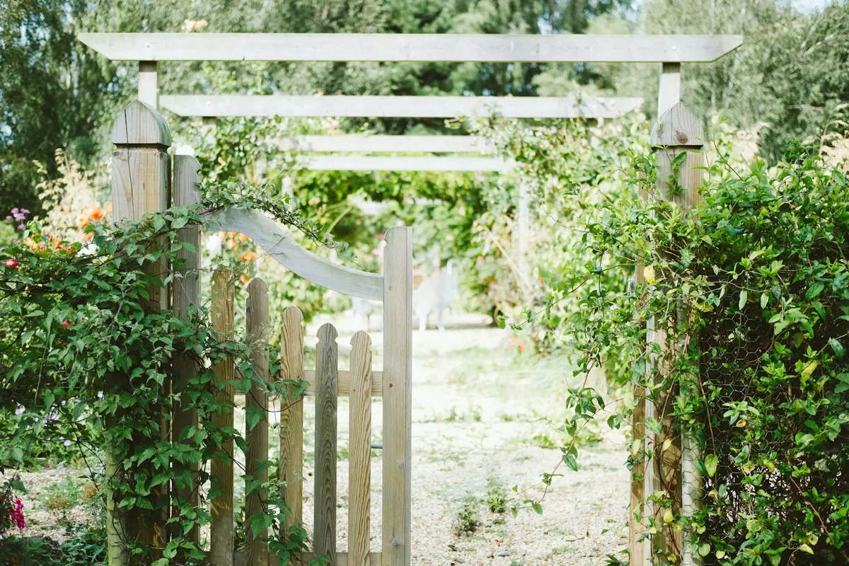 Timber garden gate and fence by My Homes Fencing Expert in Auckland