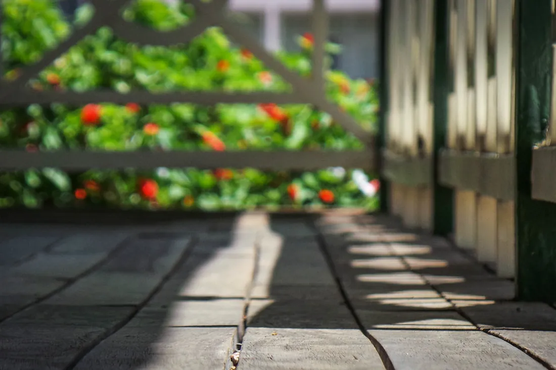 Decking fence framing an outdoor living space in Auckland
