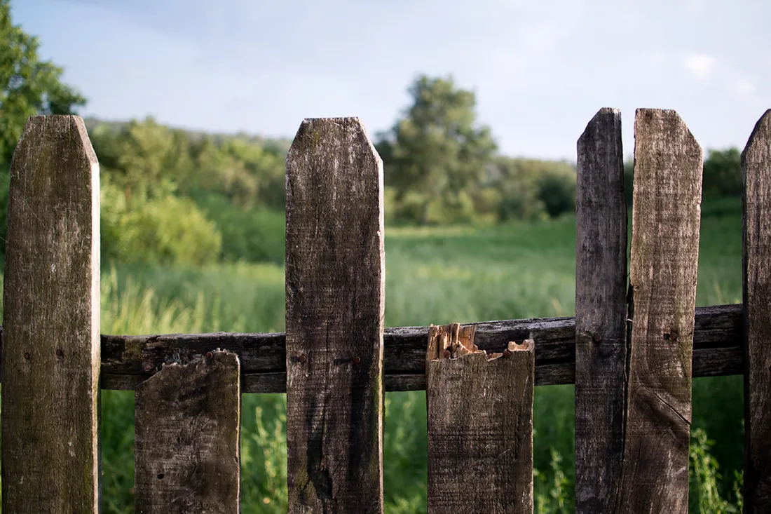 Fence repair restoring a damaged Auckland fence