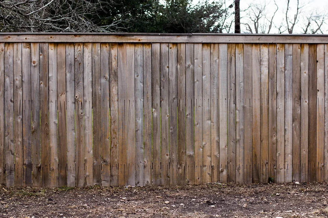 Garden fence defining a landscaped Auckland yard