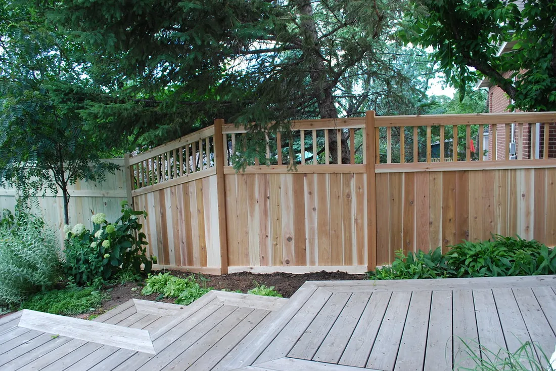 Garden fence enclosing an Auckland backyard