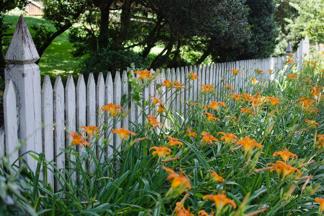 Low garden picket fence beside a flower bed