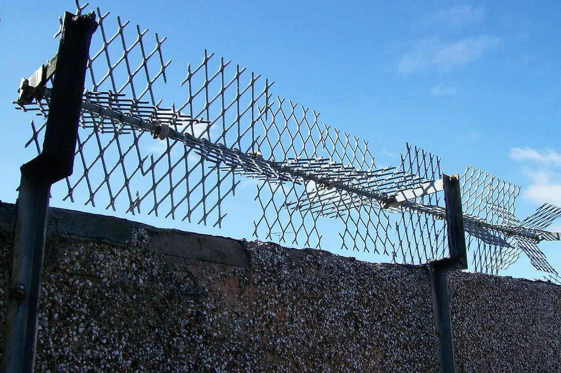 Steel metal security fence installed in Auckland