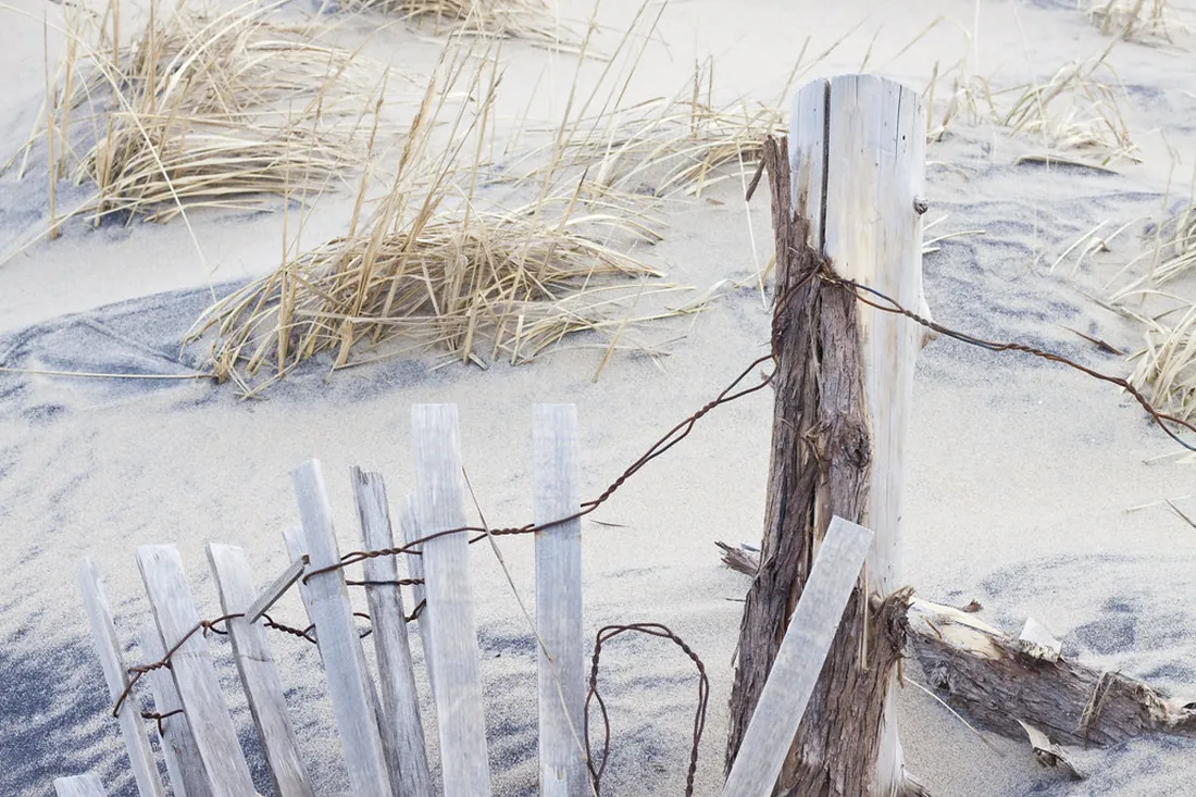 Storm-damaged fence ready for professional repair