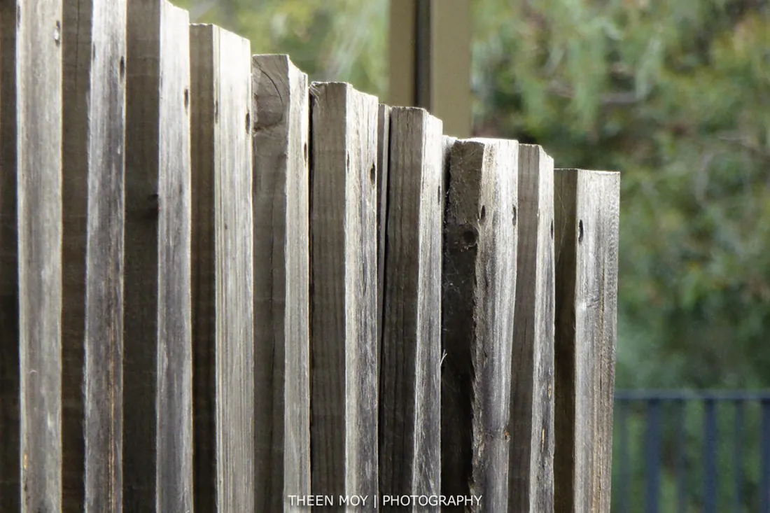 Timber paling fence professionally installed at an Auckland home