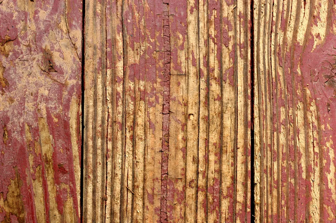 Close-up of treated pine timber fence palings and posts