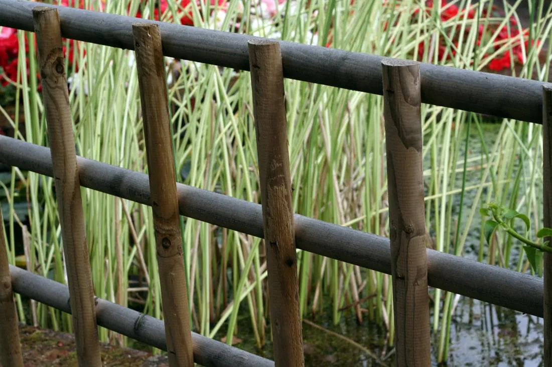 Trellis topper extending a timber boundary fence