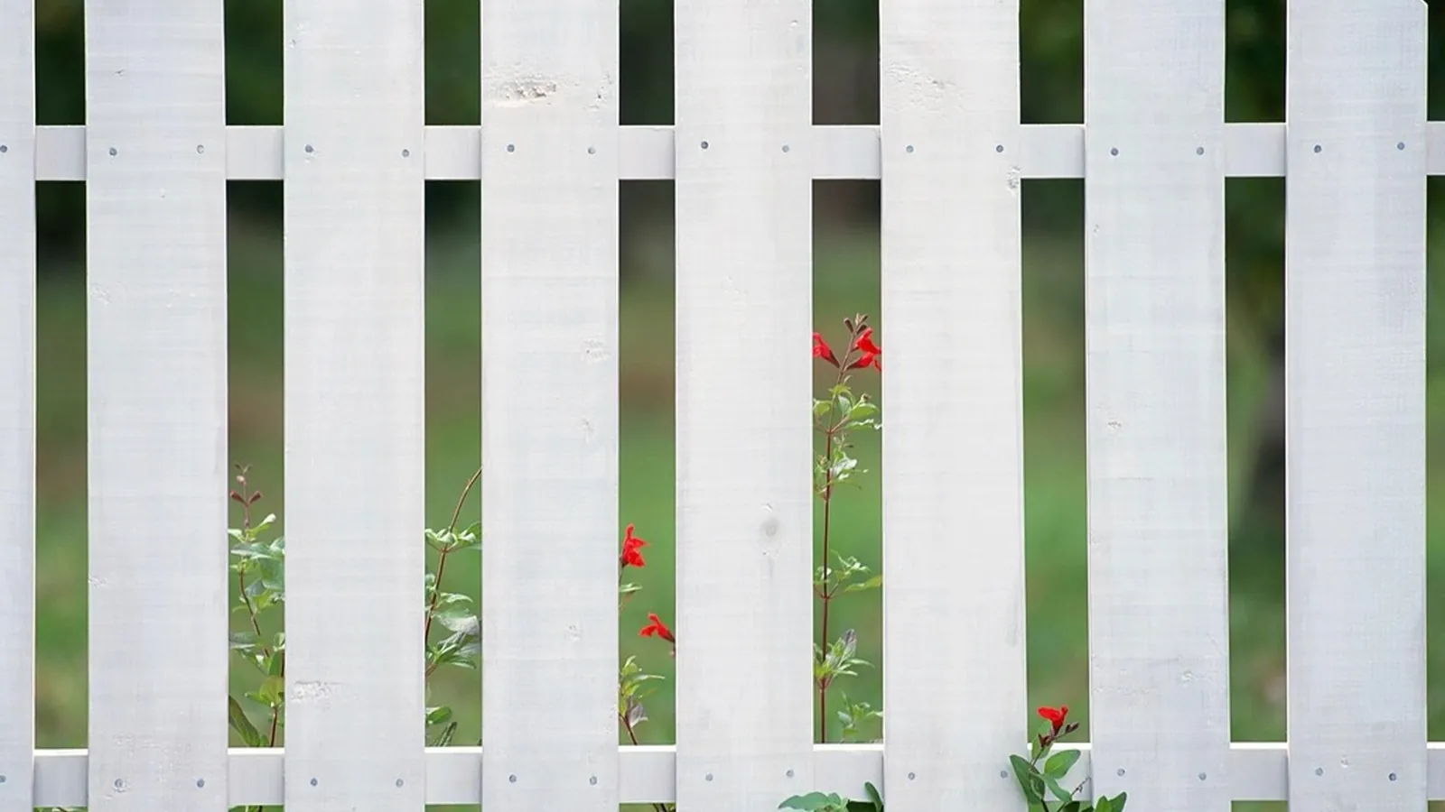 Garden Fencing in Auckland